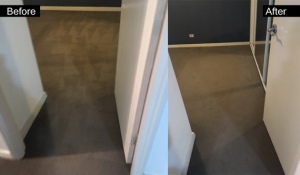 Deep Carpet Steam Cleaning - Before and After Images